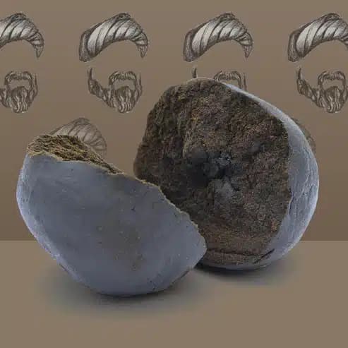 Afghan Hash CBD — Resines — visuel issu de l’offre marchande