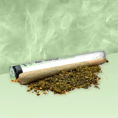 Pre-roll Amnesia CBD – Mama Kana — Pre Roll — visuel issu de l’offre marchande