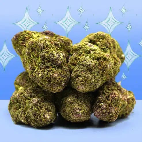Northern Lights CBD – Indoor – Mama Kana — Fleurs — visuel issu de l’offre marchande