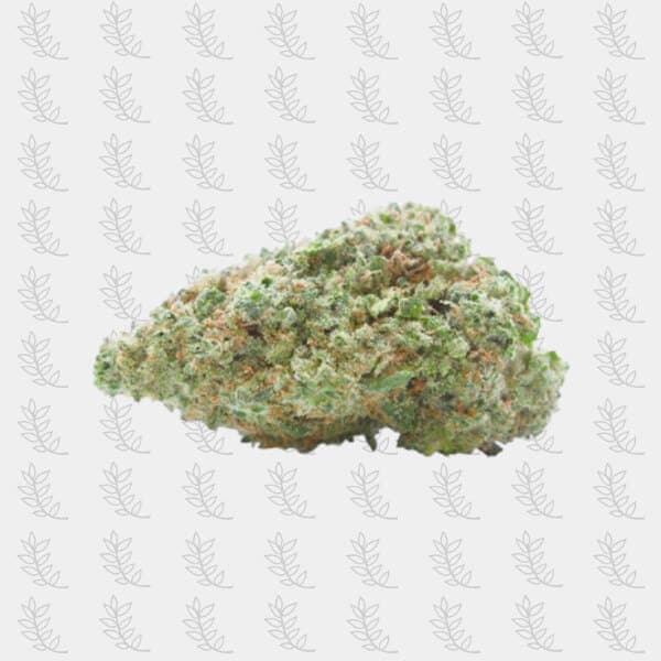 Bluedream | Thv-n10 — visuel issu de l’offre marchande
