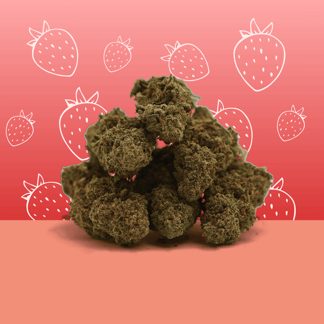 Petites Têtes Strawberry CBD – Indoor – Mama Kana — Fleurs — visuel issu de l’offre marchande