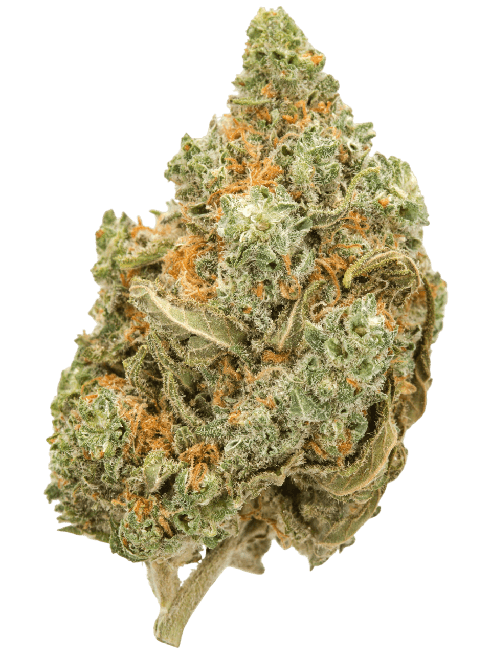 Amnesia – Fleurs Full Spectrum Bio — __d0__ — visuel issu de l’offre marchande