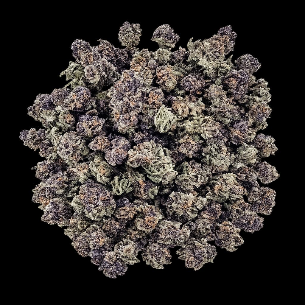 Small Buds Og Purple Kush – Usa – Delta-9-thc — __d0__ — visuel issu de l’offre marchande