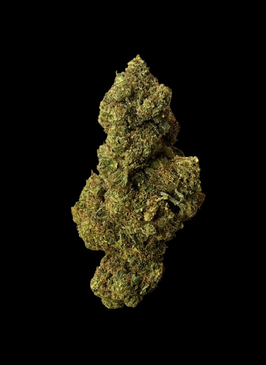 Animal Tsunami – Delta-9 & 10-oh+ – Thaï X Usa Indoor — — visuel issu de l’offre marchande