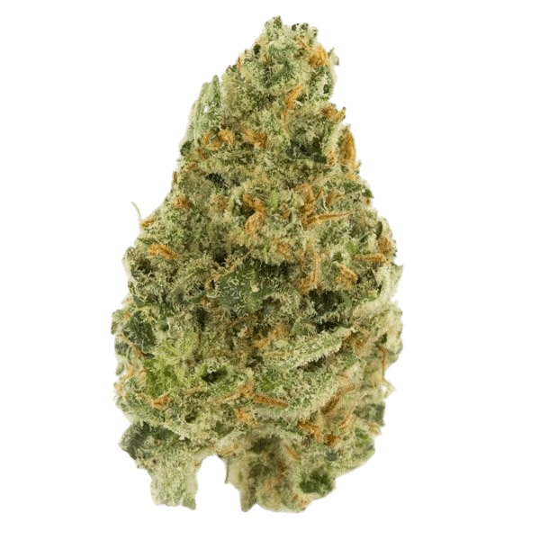 🍦gelato 41 – Usa Indoor – Delta-9-thc — __d0__ — visuel issu de l’offre marchande