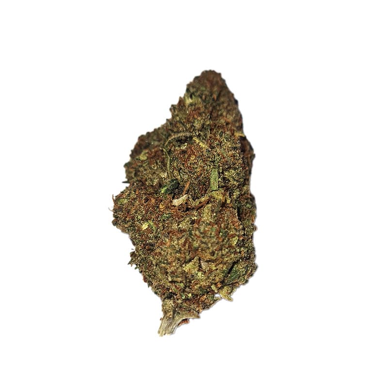 Bruce Banner - Fleurs Thc-x — visuel issu de l’offre marchande