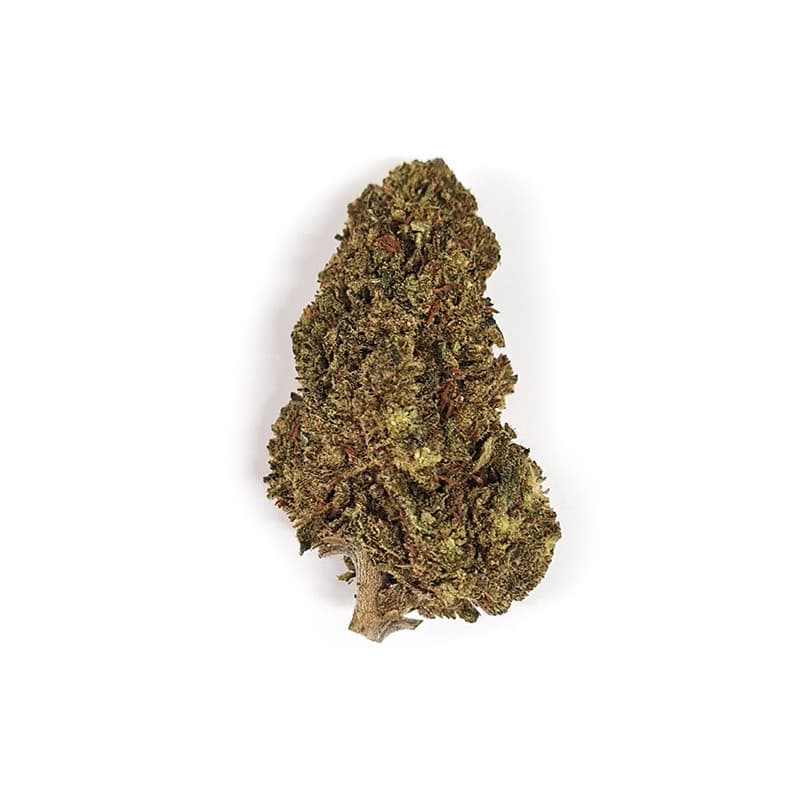Blue Bomb - Fleurs Thc-x — visuel issu de l’offre marchande