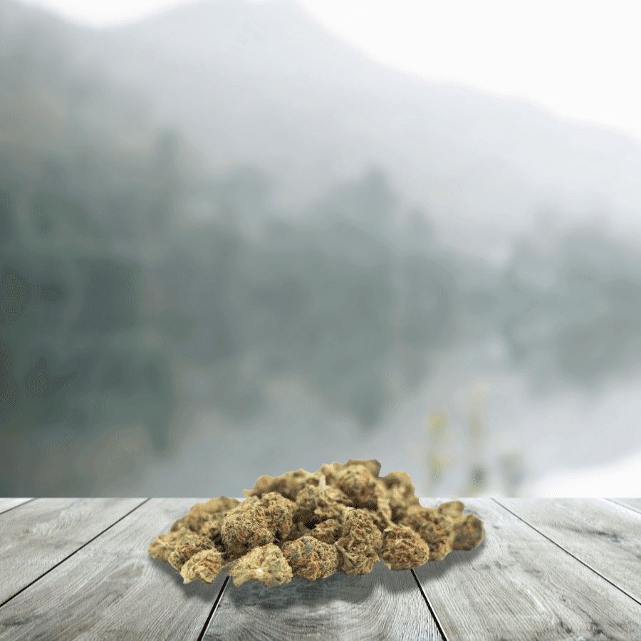 Small Orange Bud __d0__ – Bio — __d1__ — visuel issu de l’offre marchande