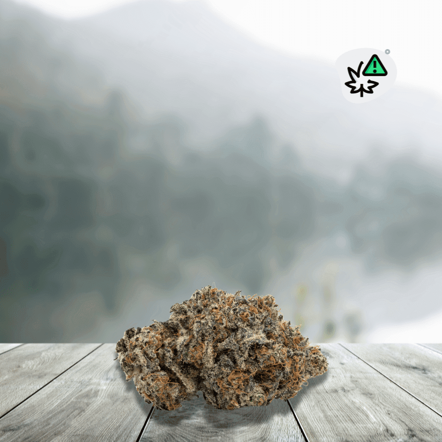 Fleurs Monster Cookie Thvn10 __d0__ — visuel issu de l’offre marchande
