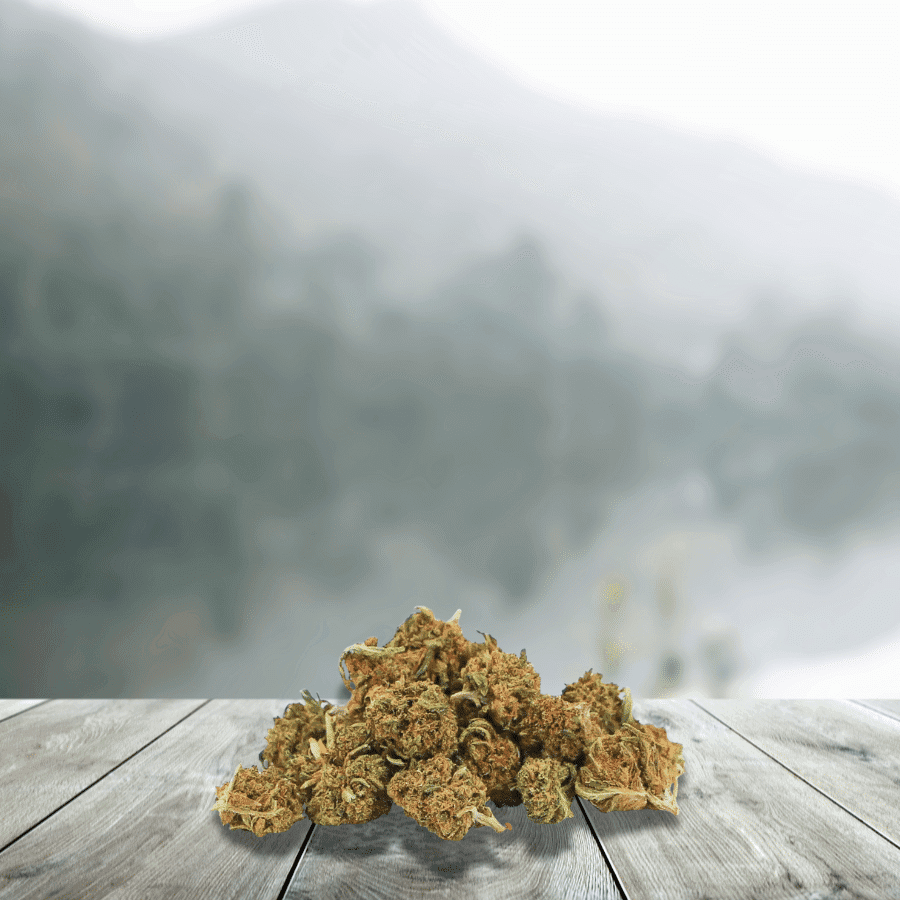 Small CBD Og Kush __d0__ (génétique Usa) – France & Bio — — visuel issu de l’offre marchande
