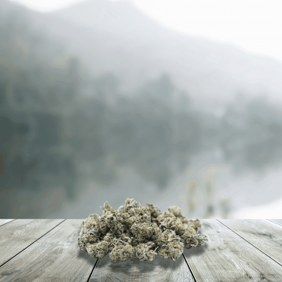 Small CBD Sour Diesel __d0__ (génétique Usa) – France & Bio — visuel issu de l’offre marchande