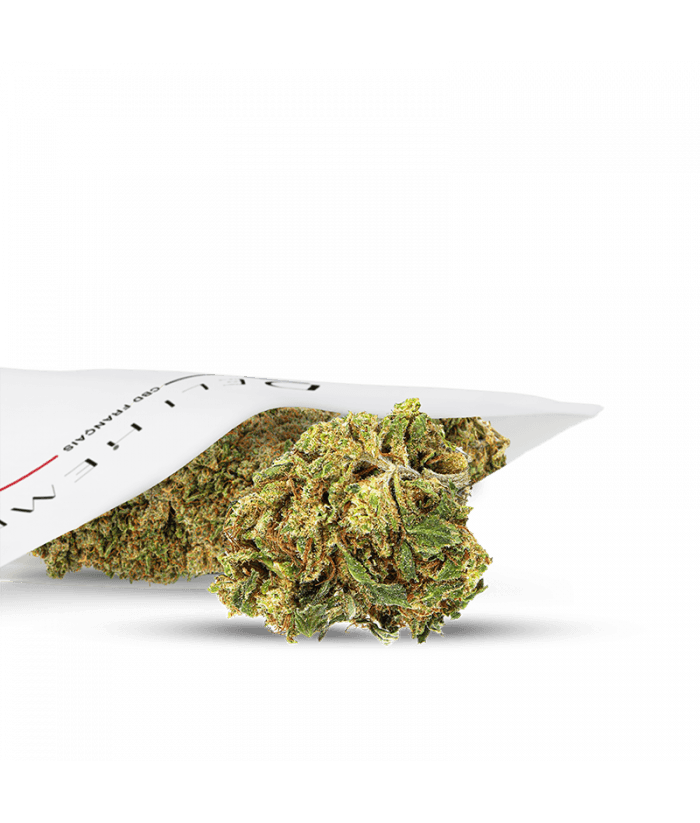 Fleur CBD - Super Silver Haze - Outdoor — __d0__ — visuel issu de l’offre marchande