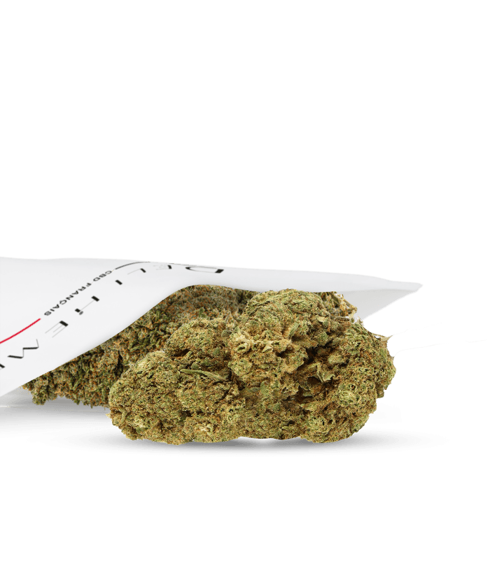 Fleurs CBD - Gelato - Glasshouse — __d0__ — visuel issu de l’offre marchande