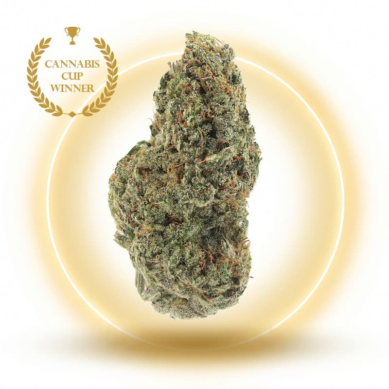 God Father Og - Fleurs CBD - Édition Limitée — visuel issu de l’offre marchande