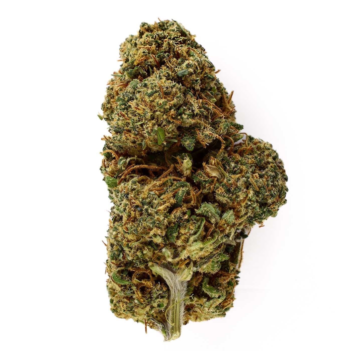 Fleur De CBD Lemon Haze Indoor Hydroponique (__d0__) — visuel issu de l’offre marchande