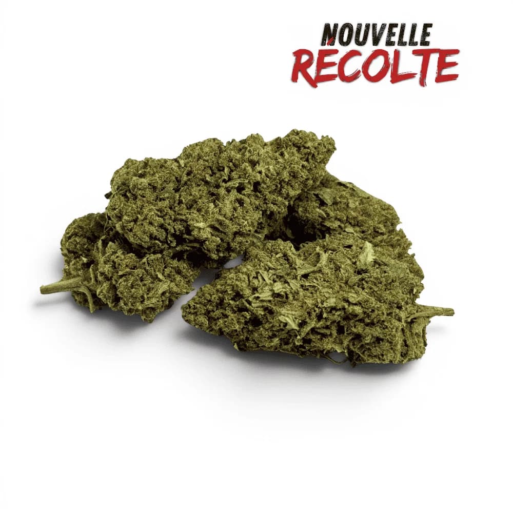 Fleur De CBD Super Silver Haze Indoor — visuel issu de l’offre marchande