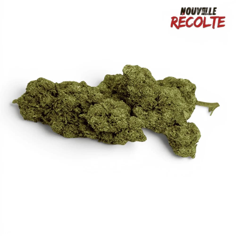 Fleur CBD Gelato Glue Indoor — visuel issu de l’offre marchande
