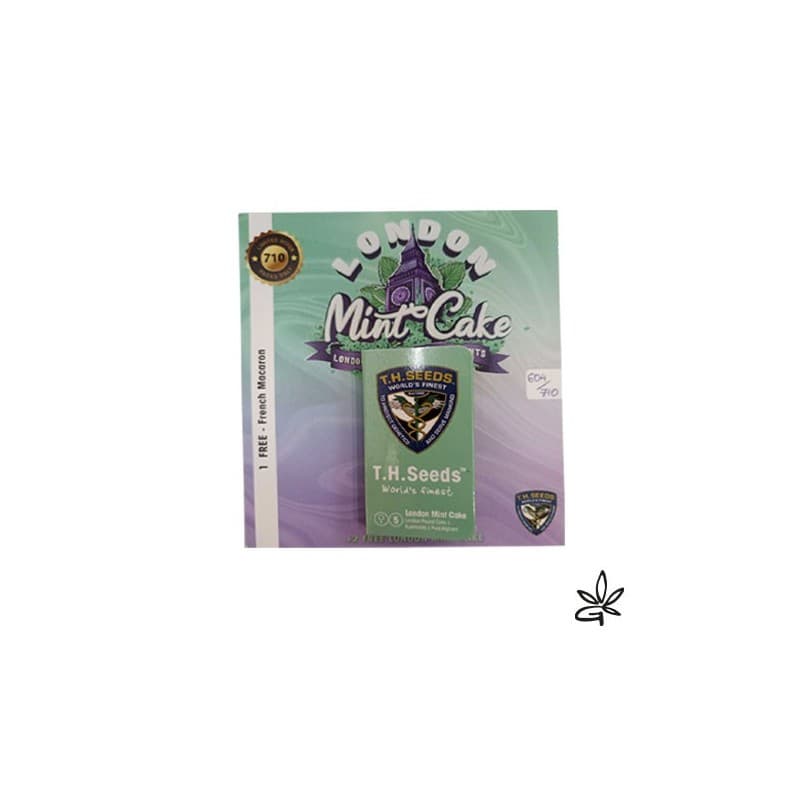 London Mint Cake Fem X7 +1 - Thseeds - Graine THC — visuel issu de l’offre marchande