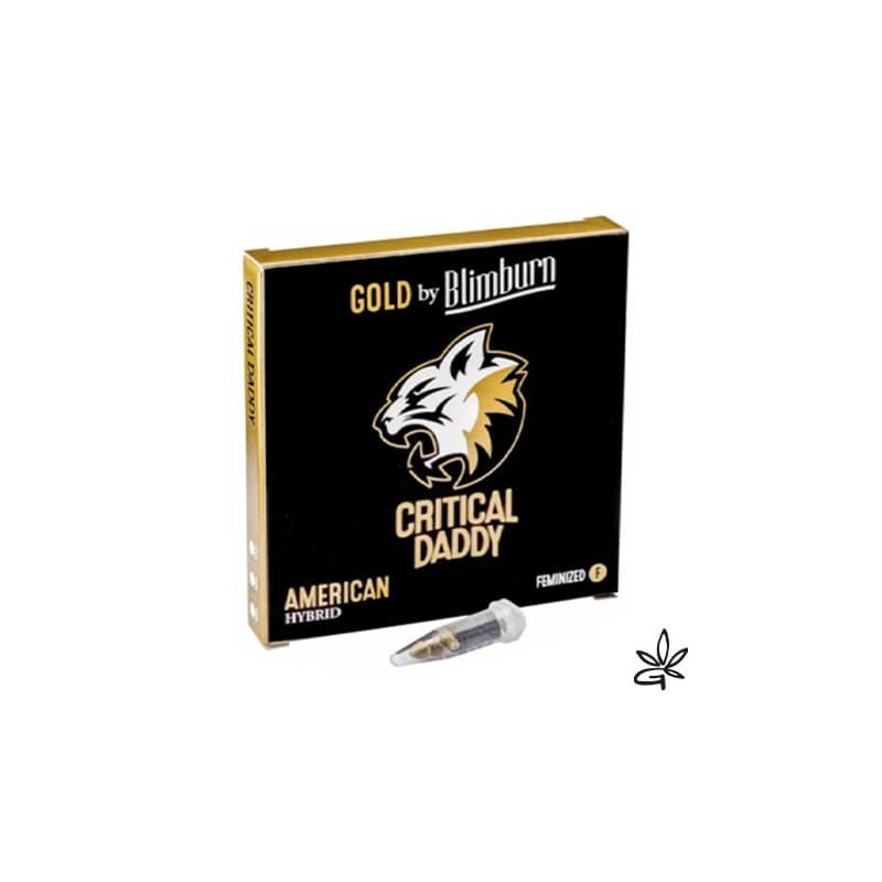 Critical Daddy X3 - Blimburn - Graine THC — visuel issu de l’offre marchande