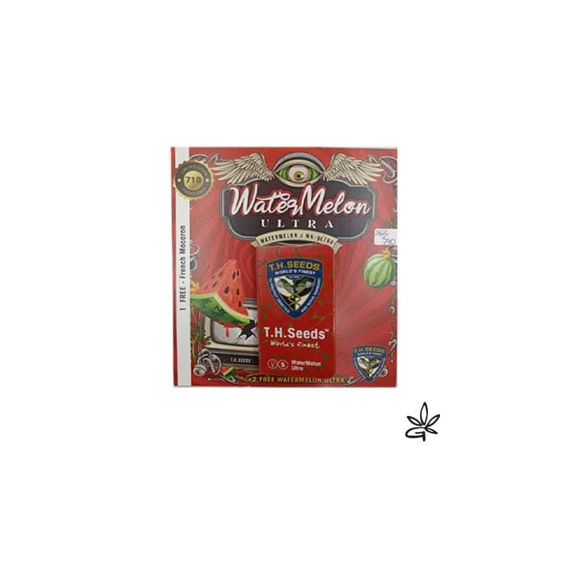 Water Melon Ultra Fem X7 +1 - Thseeds - Graine THC — visuel issu de l’offre marchande