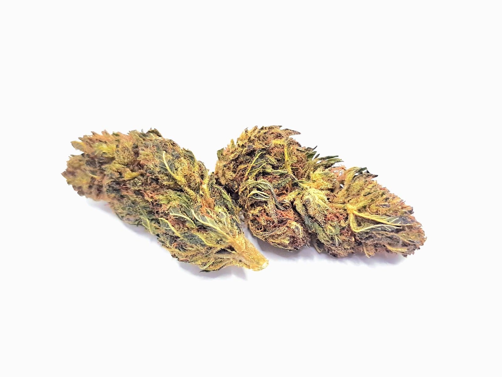 Orange Bud Thcx 2.0 — visuel issu de l’offre marchande
