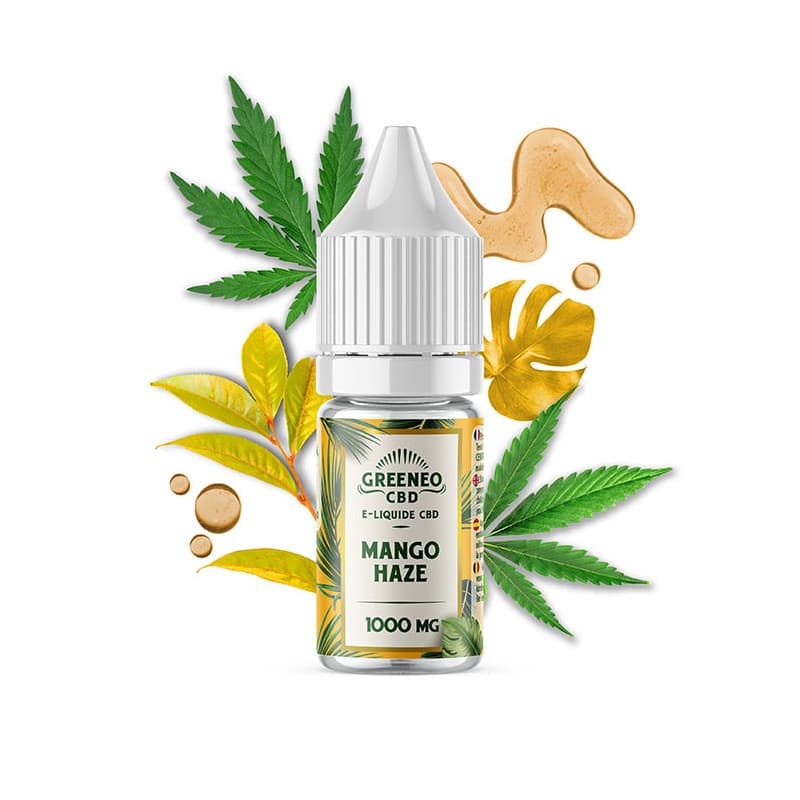 Mango Haze __d0__ — visuel issu de l’offre marchande