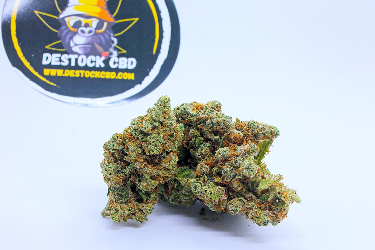 Produit: Amnesia Haze Mini Buds Cali Hydro — visuel issu de l’offre marchande
