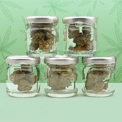 Pack Découverte Fleurs CBD – Mama Kana — Types De Produit — visuel issu de l’offre marchande