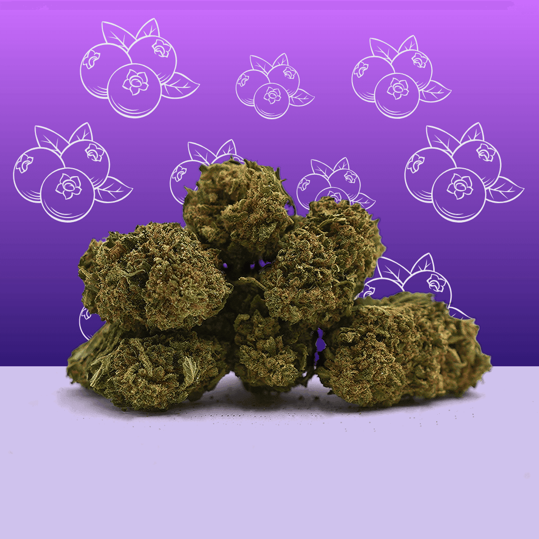 Blueberry CBD – Greenhouse – Mama Kana — CBD — visuel issu de l’offre marchande