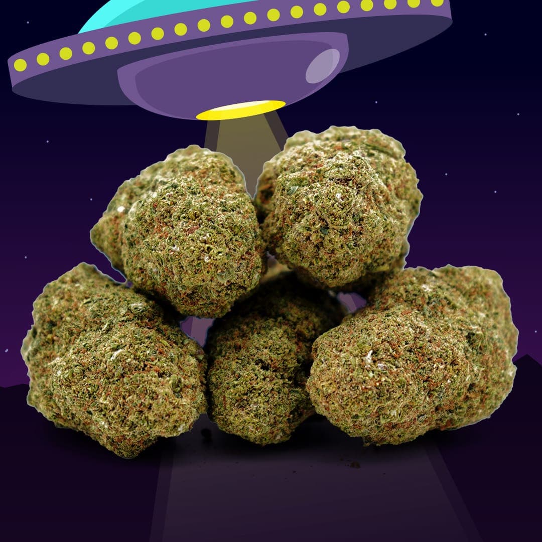 Alien Kush CBD – Hydroponique – Mama Kana — Fleurs — visuel issu de l’offre marchande