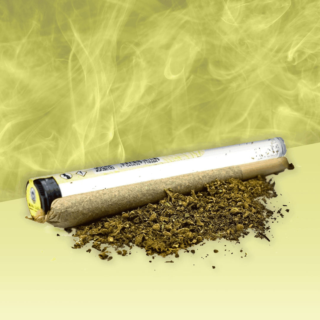 Pre-roll Critical CBD – Mama Kana — Pre Roll — visuel issu de l’offre marchande