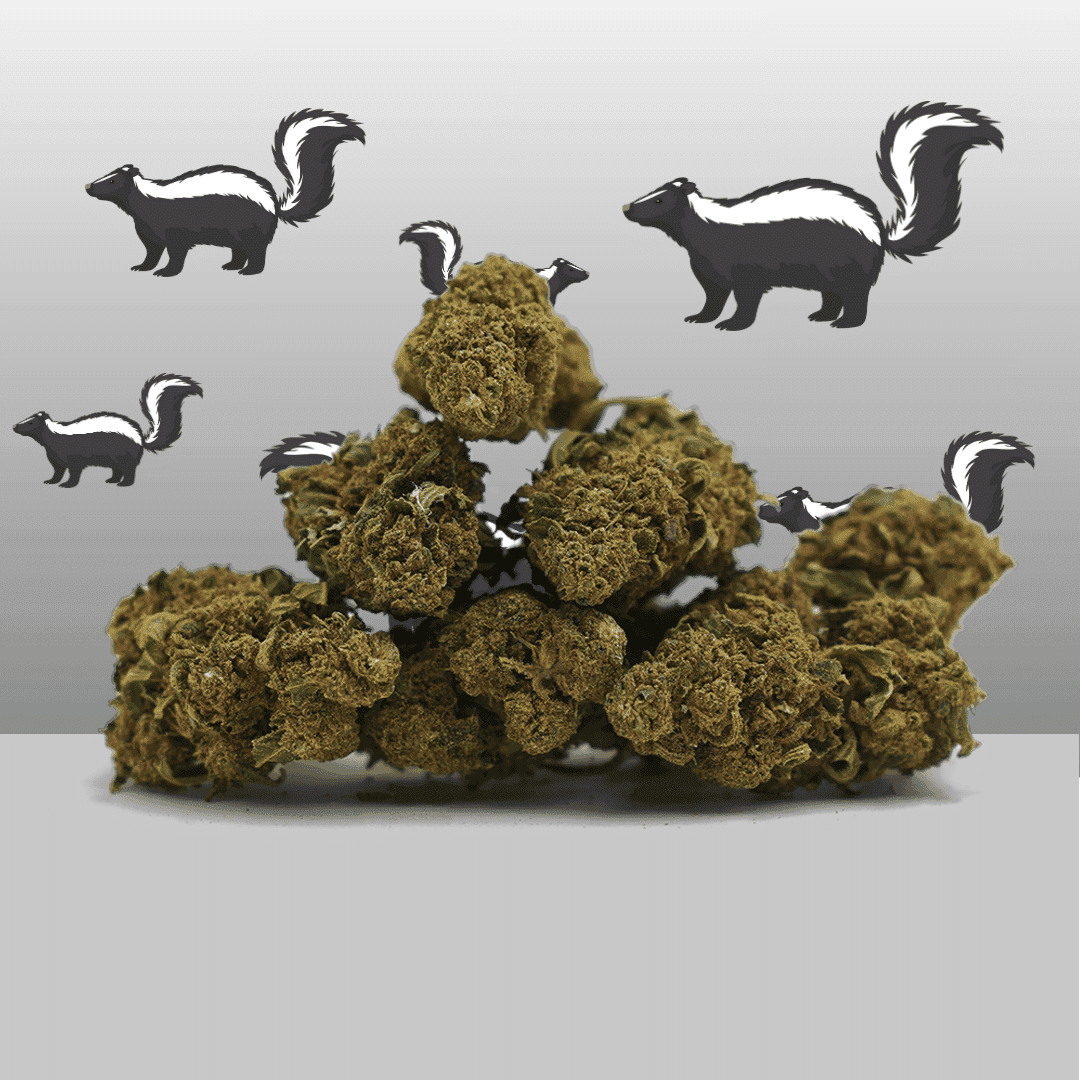 Super Skunk CBD – Greenhouse – Mama Kana — Fleurs — visuel issu de l’offre marchande