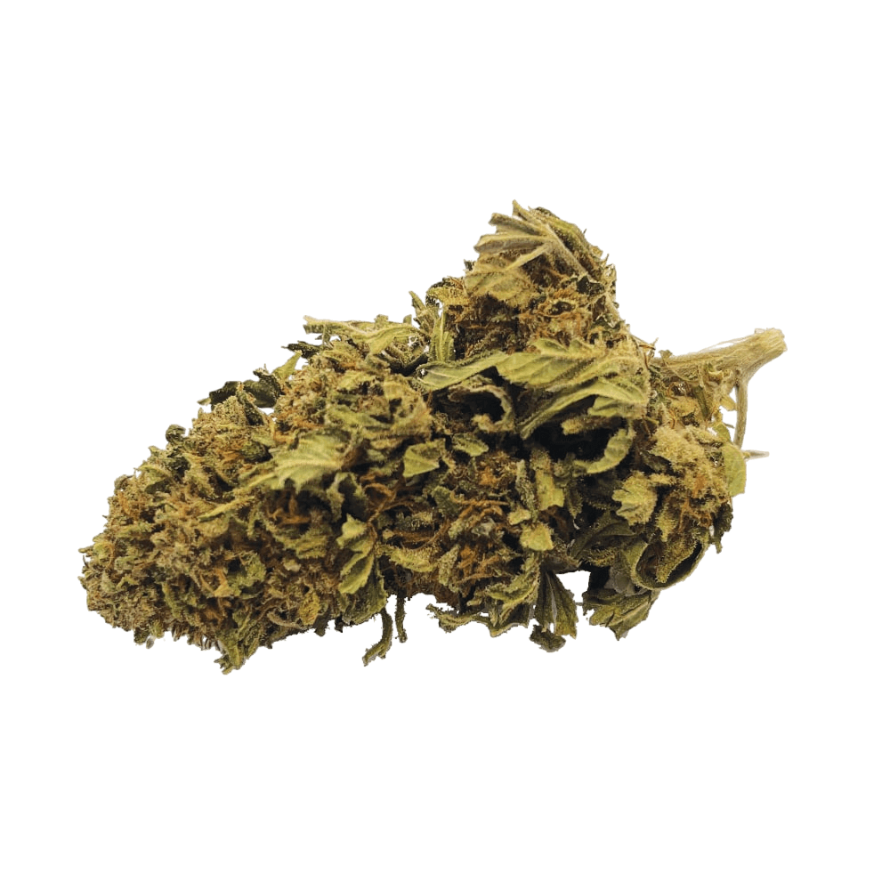 Jack Herer® – Indoor – Delta-9-thc — __d0__ — visuel issu de l’offre marchande