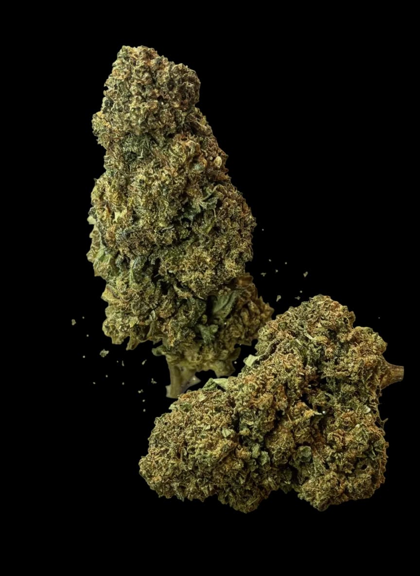 Alien Cookies __d0__ – 10-oh+ – Cali Usa — __d1__ — visuel issu de l’offre marchande
