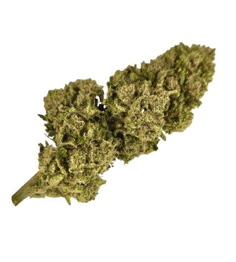 Bubble Gum – Delta-9-thc – Hydro — __d0__ — visuel issu de l’offre marchande