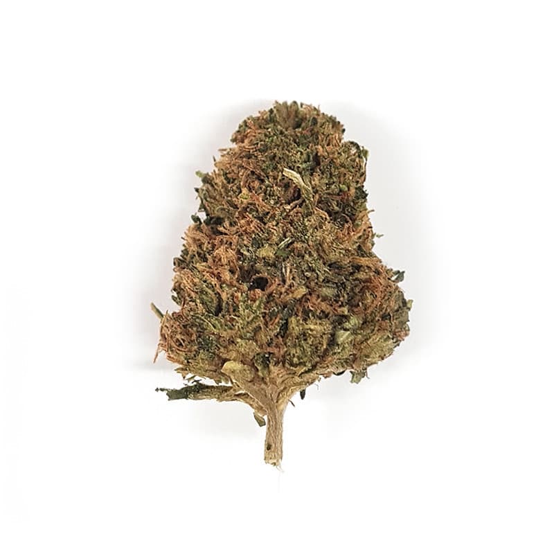 Ak47 - Fleurs Thc-x — visuel issu de l’offre marchande