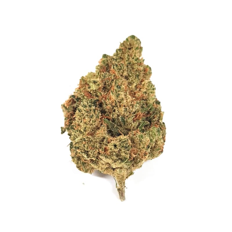 Amnesia - Fleurs Thc-x — visuel issu de l’offre marchande