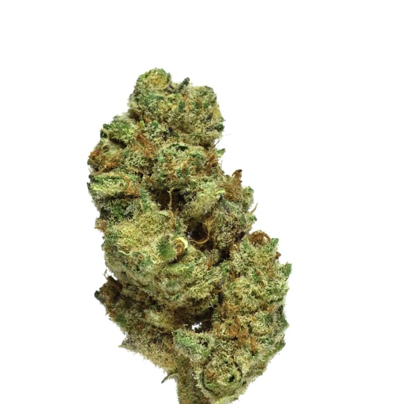 Gelato - Fleurs CBD — visuel issu de l’offre marchande