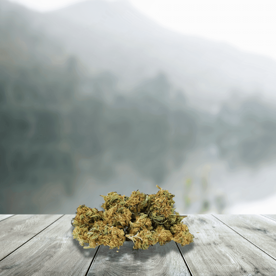 Small Lemon Haze __d0__ – France & Bio — __d1__ — visuel issu de l’offre marchande