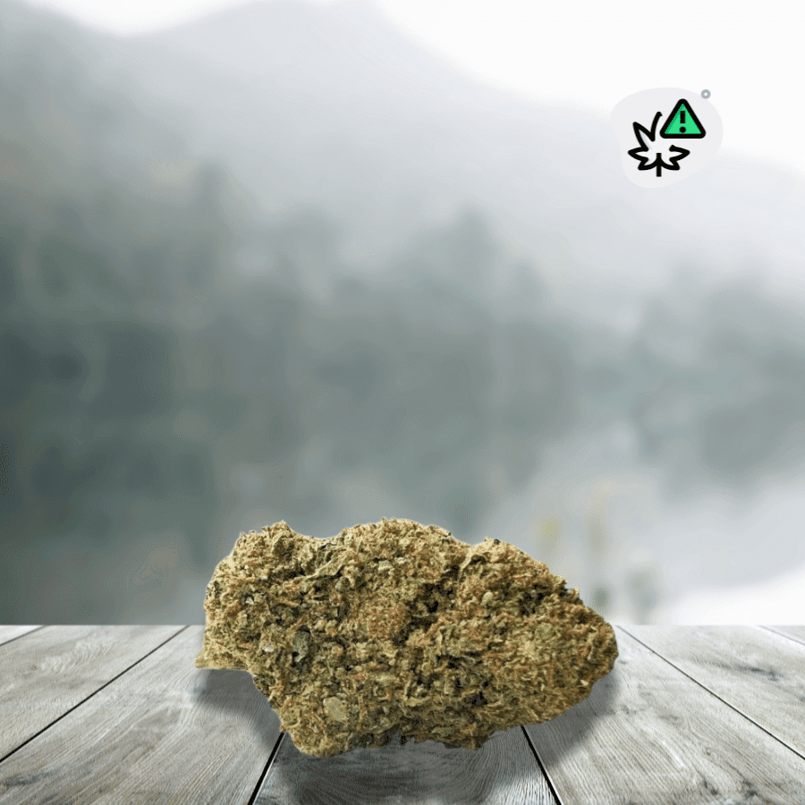 Fleurs Rainbow Runtz Revuelto Thv-n10 __d0__ — visuel issu de l’offre marchande