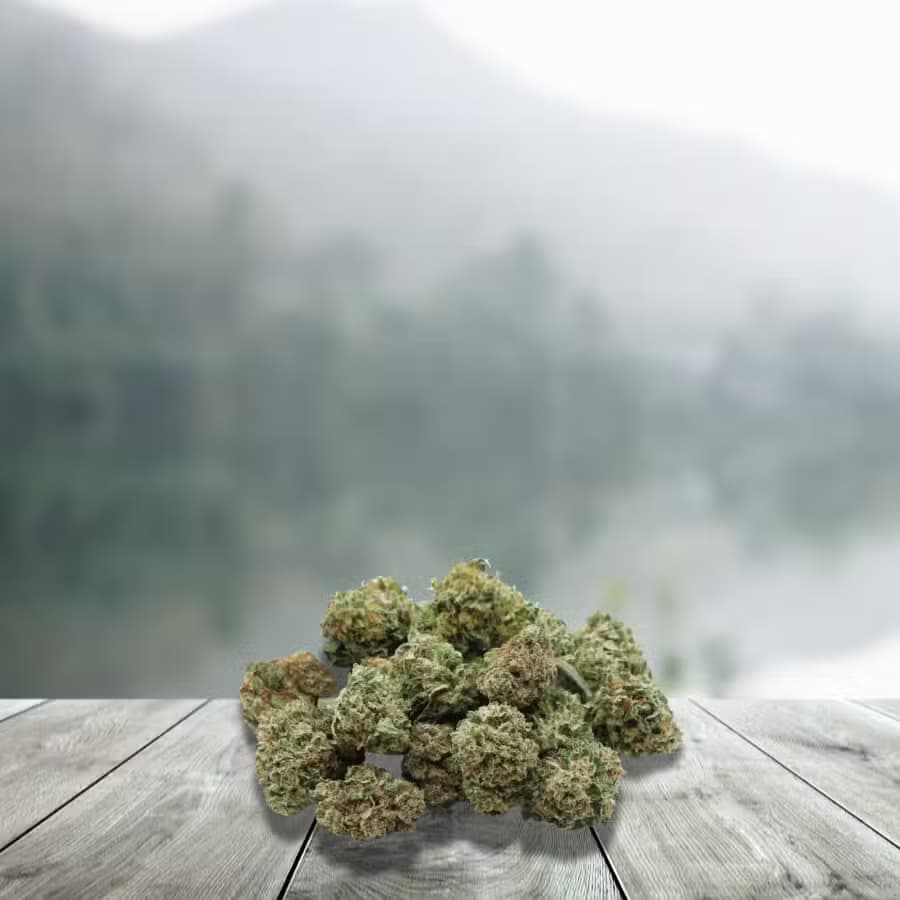 Small CBD Bruce Banner __d0__ (génétique Usa) – France & — visuel issu de l’offre marchande