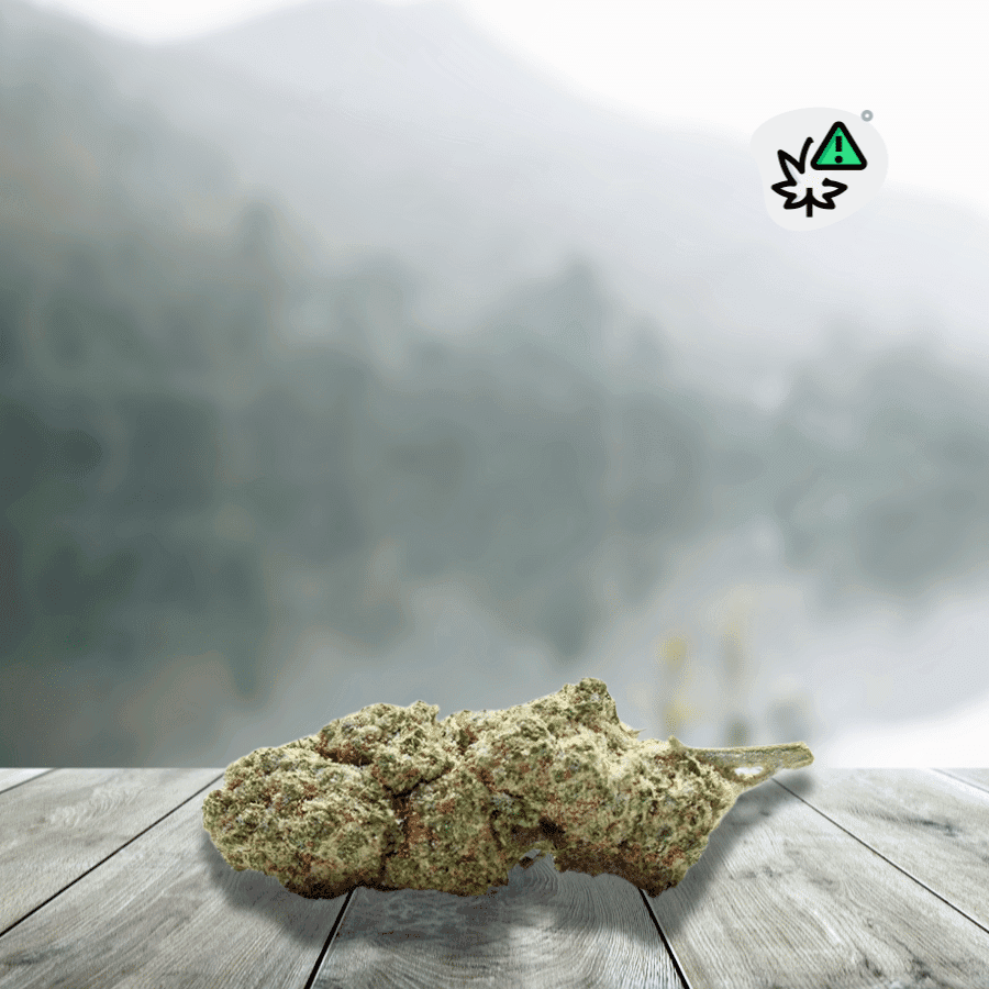 Fleurs Super Silver Haze Us D10 Stv-10 __d0__ — visuel issu de l’offre marchande