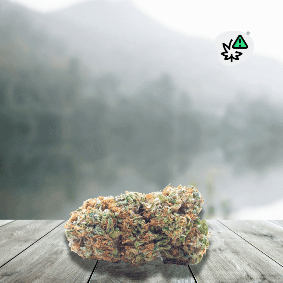 Fleurs California Kush Dc10 __d0__ — visuel issu de l’offre marchande
