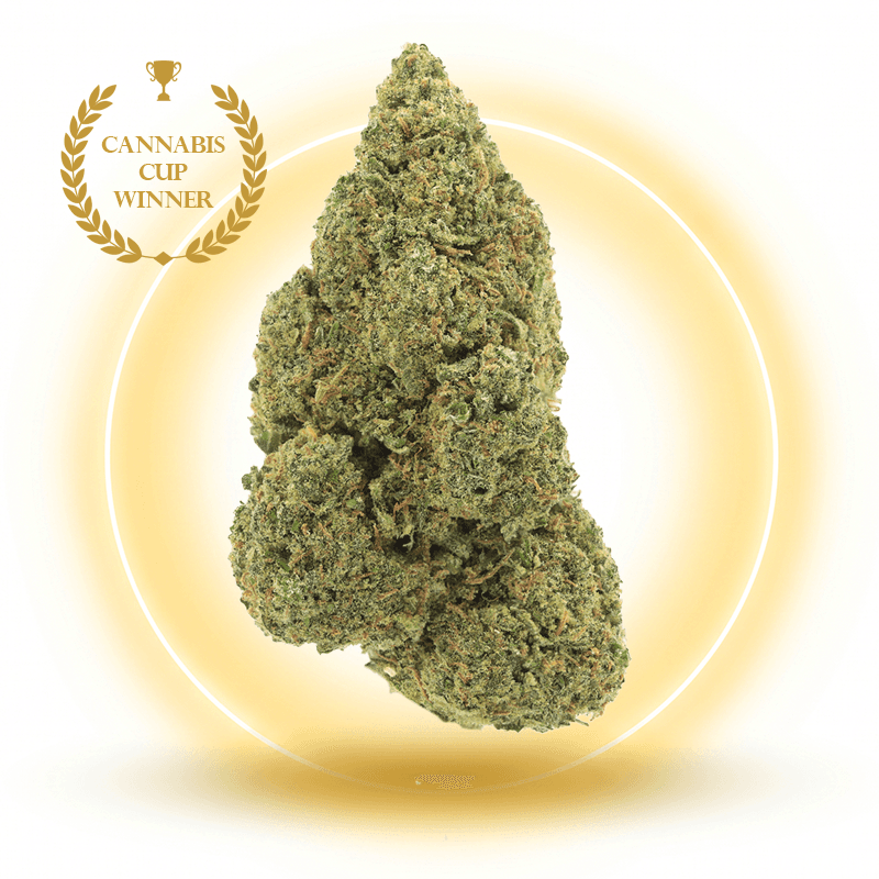 Ice Cream Cake - Fleurs CBD - Édition Limitée — visuel issu de l’offre marchande