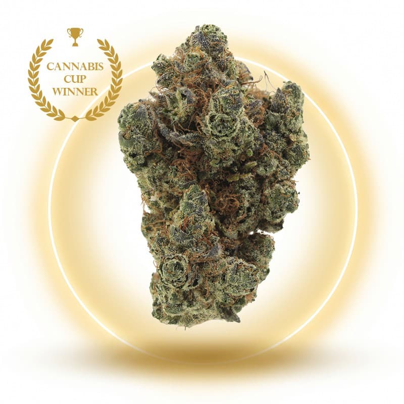 Strawberry Payton - Fleurs CBD - Édition Limitée — visuel issu de l’offre marchande