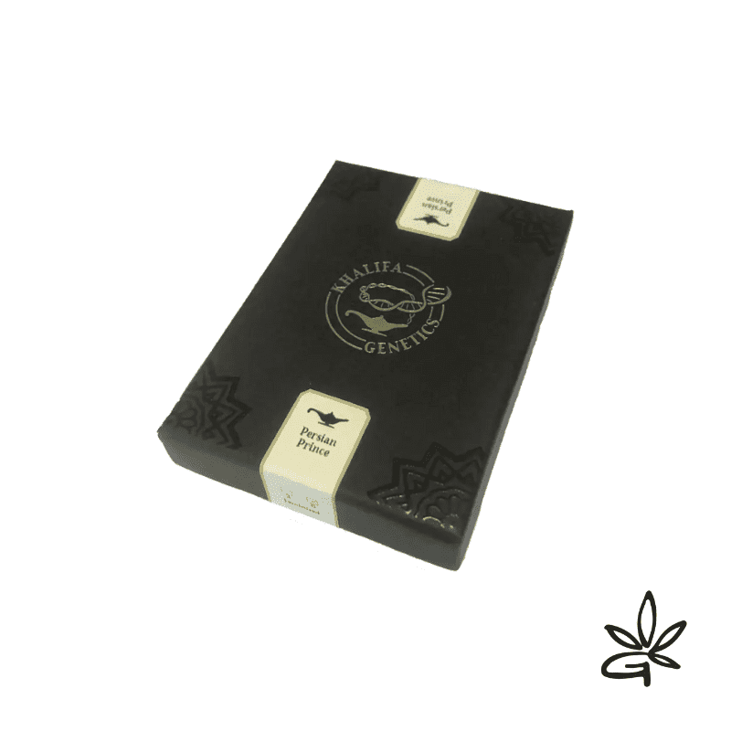 Persian Prince Feminized X6 - Khalifa Genetics - Graine THC — visuel issu de l’offre marchande