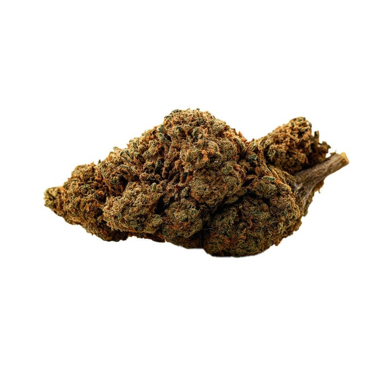 Black Domina — visuel issu de l’offre marchande